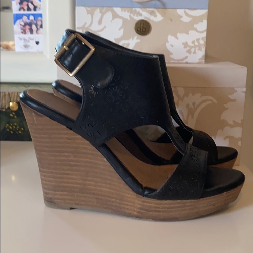 Restricted Black Wedges